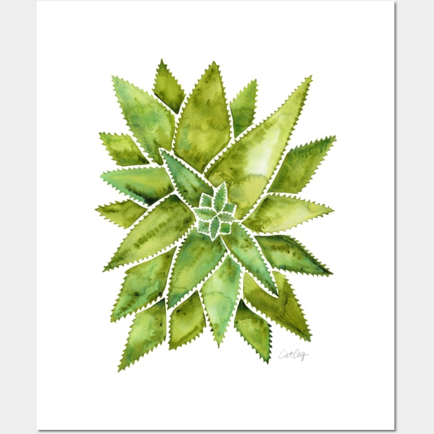 Green Aloe Vera Wall Art by CatCoq